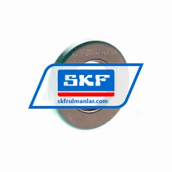 SKF 9667