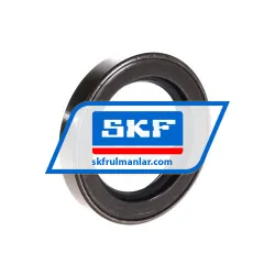SKF CR40X60X10CRSH13R rulman resim 2