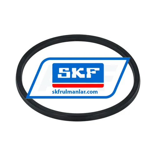 SKF STD250-5250-250-J1S