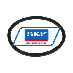 SKF STD250-5250-250-J1S rulman resim 2