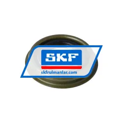 SKF 18136