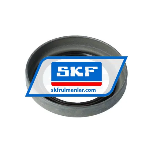 SKF 18100 ürün fotoğrafı 2