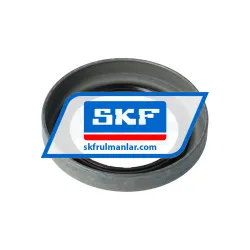 SKF 18100 rulman resim 2