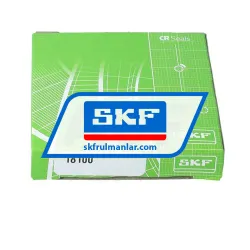 SKF 18100 rulman resim 3