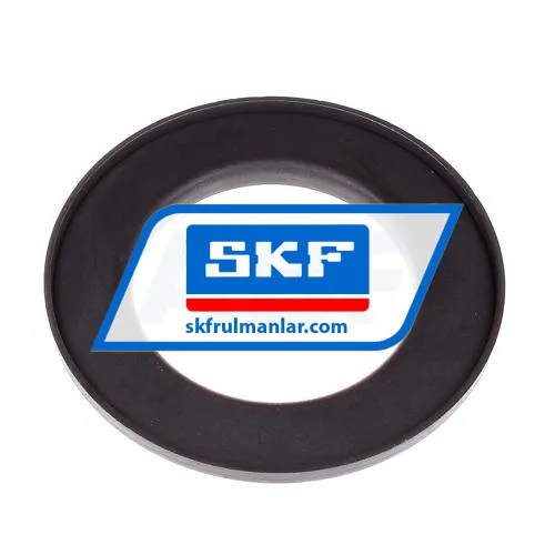 SKF 20118