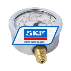 SKF VGDV169-125-015