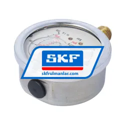 SKF VGDV169-125-015 rulman resim 2