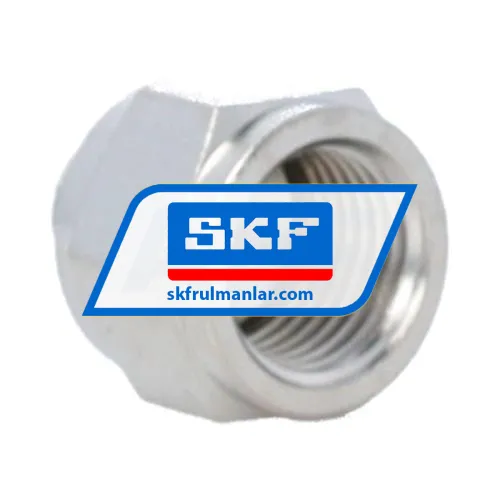 SKF LAPN10