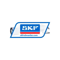 SKF TLGB20-4